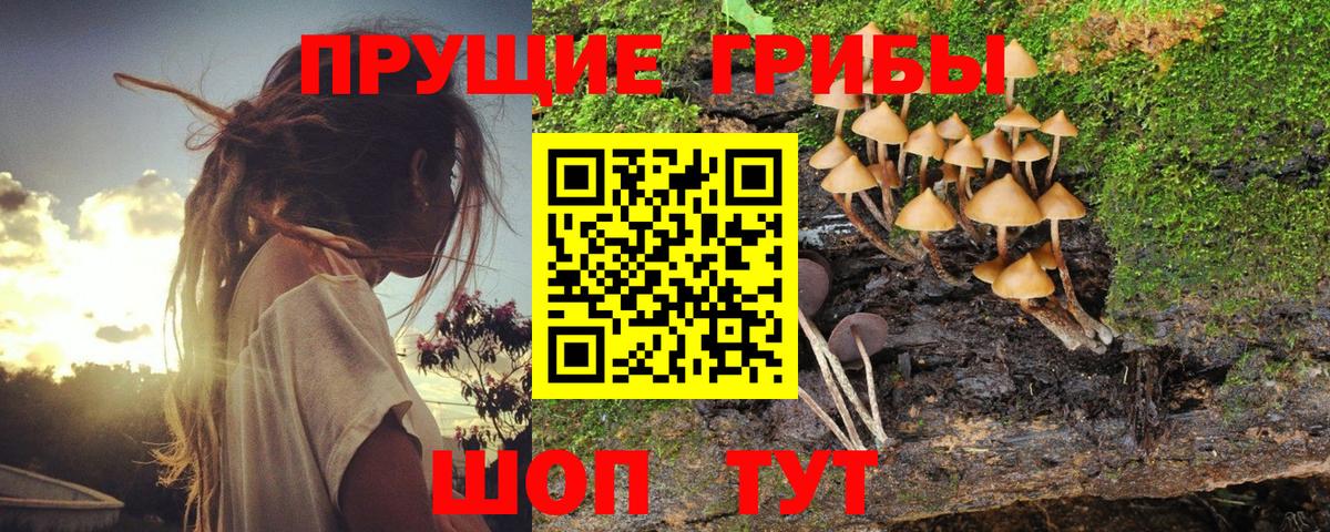 Псилоцибиновые грибы ЛСД  Псилоцибиновые грибы Psilocybine cubensis  Вход с VPN  Набережные Челны 